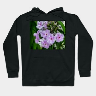 Flower Power Hoodie